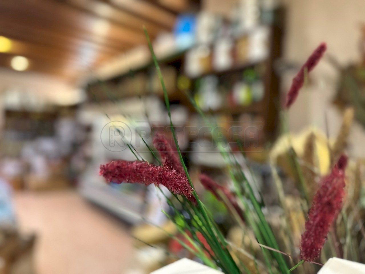 IMG_9477.jpg - Alimentari - Gastronomia Marostica - foto 1