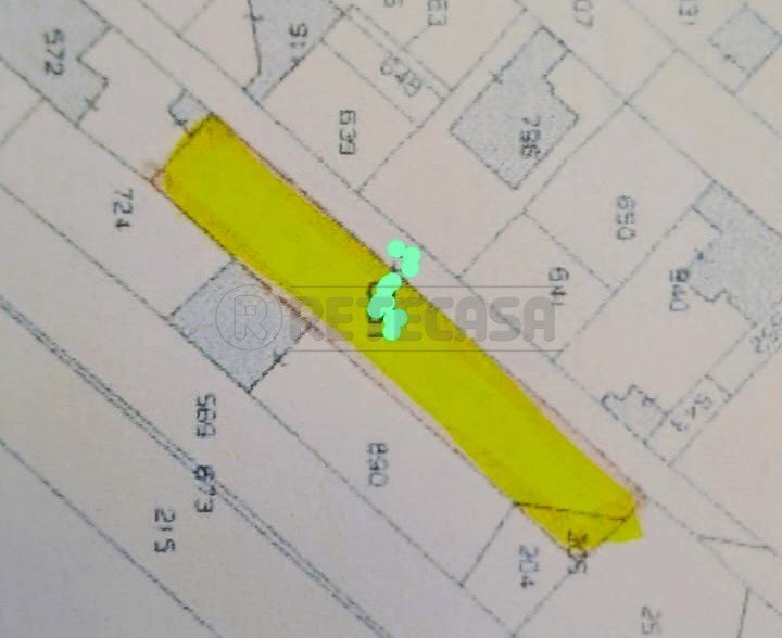 WhatsApp Image 2024-11-19 at 09.06.21.jpeg - Agricultural land Marsala - photo 1