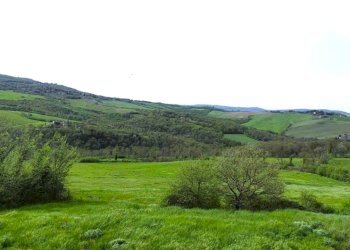 casale rustico pietra Todi (20).jpg - Casale Vocabolo Ospedaletto  snc, Todi - foto 12