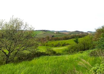 casale rustico pietra Todi (11).jpg - Casale Vocabolo Ospedaletto  snc, Todi - foto 19