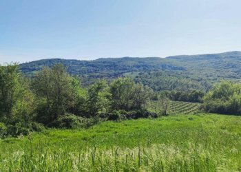 casale rustico pietra Todi (30).jpg - Casale Vocabolo Ospedaletto  snc, Todi - foto 24