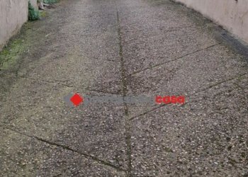 POMEZIA-PC1108 (2).jpeg - Box Pomezia - photo 3