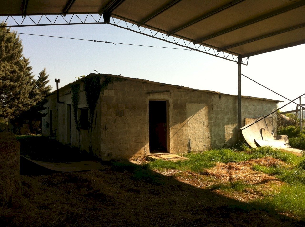 Immagine WhatsApp 2024-11-11 ore 18.13.26_163b3a2c - Villa Roma - foto 3