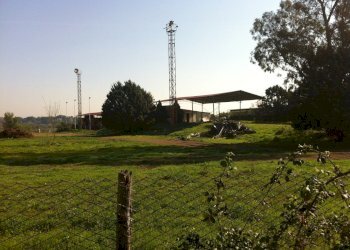 Immagine WhatsApp 2024-11-11 ore 18.13.26_3ef2c71f - Villa Roma - foto 2