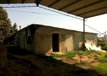 Immagine WhatsApp 2024-11-11 ore 18.13.26_163b3a2c - Villa Roma - foto 3