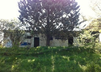 Immagine WhatsApp 2024-11-11 ore 18.13.26_be6e3580 - Villa Roma - foto 4