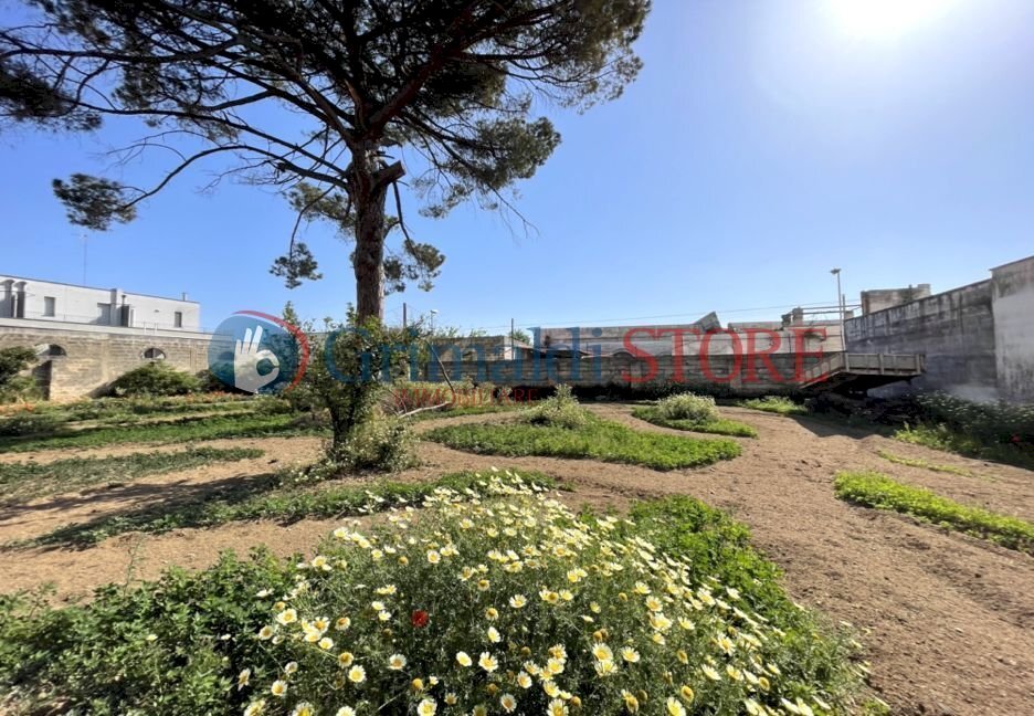 Palazzo Pedone Squinzano3.003_risultato.jpg - Independent house Via Gianfilippe 27, Squinzano - photo 3