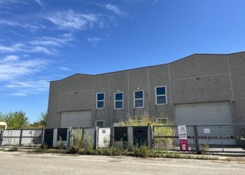 IMG_4507.jpeg - Capannone Dossino 31, Cura Carpignano - foto 8