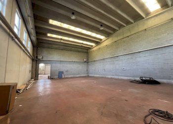 IMG_4494.jpeg - Capannone Dossino 31, Cura Carpignano - foto 15