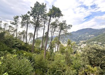 IMG_1.JPG - Villa Via Orlando Grosso 6, Bonassola - foto 4