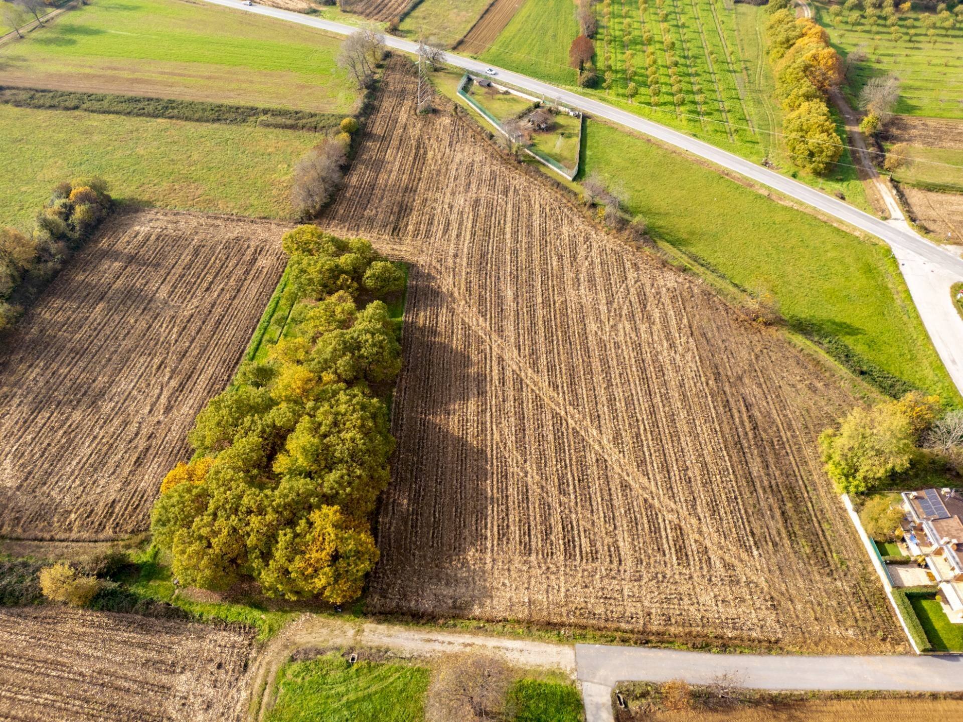 Terreno agricolo Via Giovanni Giolitti, Vignolo - foto 3