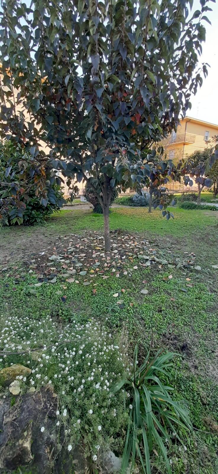 Casa indipendente via Silvio Pellico, San Giovanni Lupatoto - foto 2