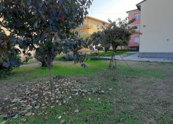 Casa indipendente via Silvio Pellico, San Giovanni Lupatoto - foto 1