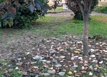 Casa indipendente via Silvio Pellico, San Giovanni Lupatoto - foto 7