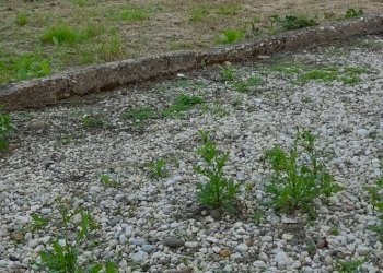 Casa indipendente via Silvio Pellico, San Giovanni Lupatoto - foto 10