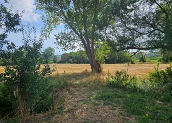 img-20230704-wa0019 - Farmhouse Ancona - photo 4