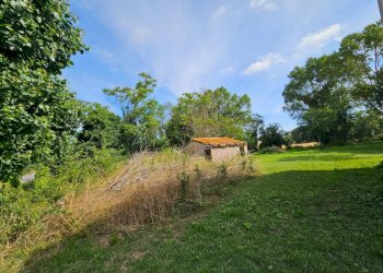 img-20230704-wa0014 - Farmhouse Ancona - photo 9