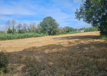 img-20230704-wa0003 - Farmhouse Ancona - photo 15