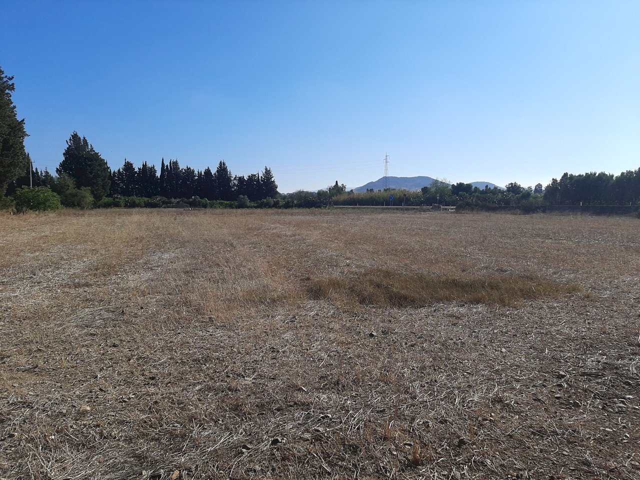 3.jpg - Terreno agricolo Monastir - foto 3