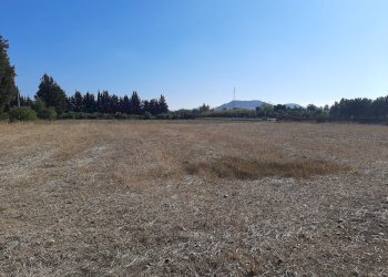 3.jpg - Terreno agricolo Monastir - foto 3