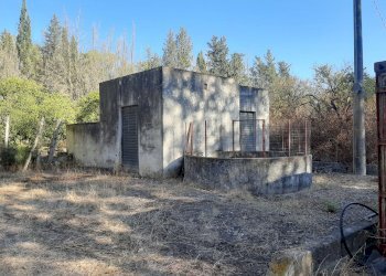 4.jpg - Terreno agricolo Monastir - foto 4