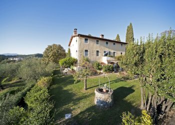 vendesi rustico oliveto piscina vendesi lucca.jpg - Casale Via di Mammoli 1001, Lucca - foto 5