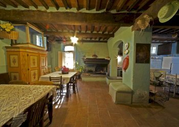 vendesi rustico oliveto piscina vendesi lucca.jpg - Casale Via di Mammoli 1001, Lucca - foto 6