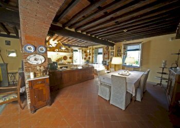 vendesi rustico oliveto piscina vendesi lucca.jpg - Casale Via di Mammoli 1001, Lucca - foto 8