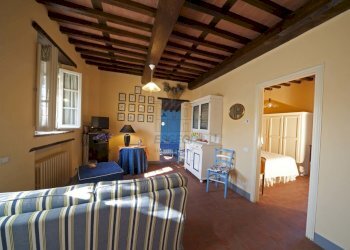 vendesi rustico oliveto piscina vendesi lucca.jpg - Casale Via di Mammoli 1001, Lucca - foto 11