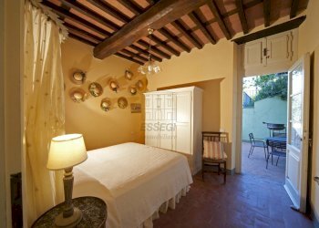 vendesi rustico oliveto piscina vendesi lucca.jpg - Casale Via di Mammoli 1001, Lucca - foto 12