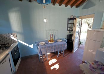 vendesi rustico oliveto piscina vendesi lucca.jpg - Casale Via di Mammoli 1001, Lucca - foto 13