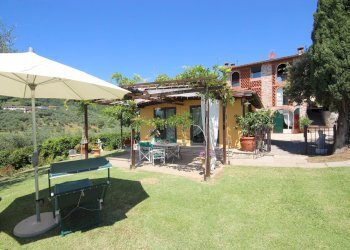 vendesi rustico oliveto piscina azienda agrivola l - Casale Via di Mammoli 1001, Lucca - foto 17