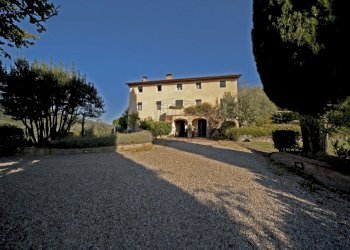 vendesi rustico oliveto piscina vendesi lucca.jpg - Casale Via di Mammoli 1001, Lucca - foto 22