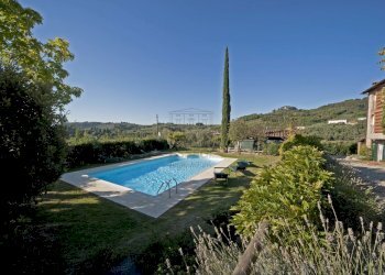 vendesi rustico oliveto piscina vendesi lucca.jpg - Casale Via di Mammoli 1001, Lucca - foto 23