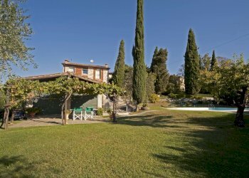 vendesi rustico oliveto piscina vendesi lucca.jpg - Casale Via di Mammoli 1001, Lucca - foto 24