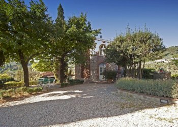 vendesi rustico oliveto piscina vendesi lucca.jpg - Casale Via di Mammoli 1001, Lucca - foto 26