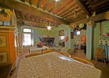 vendesi rustico oliveto piscina vendesi lucca.jpg - Casale Via di Mammoli 1001, Lucca - foto 28