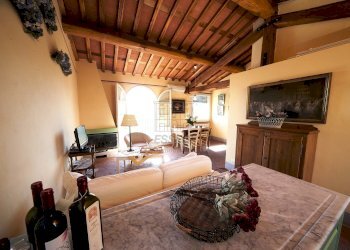 vendesi rustico oliveto piscina vendesi lucca.jpg - Casale Via di Mammoli 1001, Lucca - foto 30