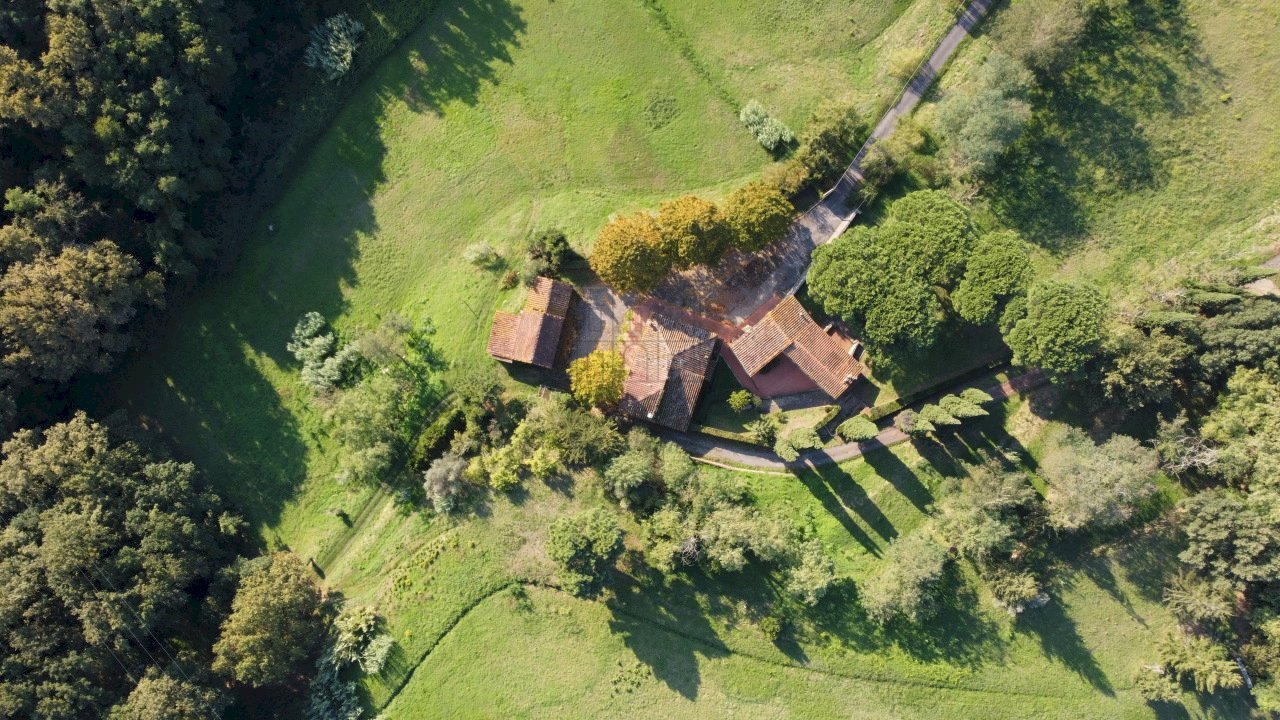 azienda agricola in vendita a Lucca (20).JPG - Azienda agricola Via Tofori, Capannori - foto 3