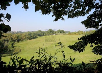 azienda agricola in vendita a lucca (3).JPG - Azienda agricola Via Tofori, Capannori - foto 7