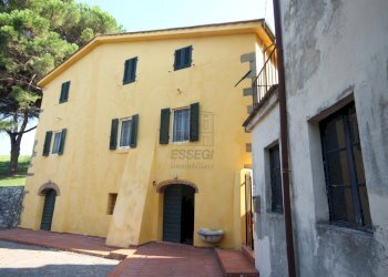 azienda agricola in vendita a lucca (2).JPG - Azienda agricola Via Tofori, Capannori - foto 8