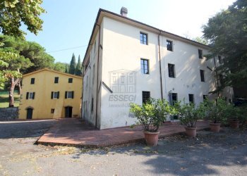 azienda agricola in vendita a lucca (6).JPG - Azienda agricola Via Tofori, Capannori - foto 10