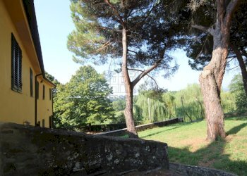 azienda agricola in vendita a lucca (30).JPG - Azienda agricola Via Tofori, Capannori - foto 16