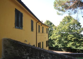 azienda agricola in vendita a lucca (32).JPG - Azienda agricola Via Tofori, Capannori - foto 17