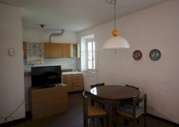 azienda agricola in vendita a lucca (17).JPG - Azienda agricola Via Tofori, Capannori - foto 19