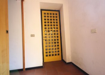 azienda agricola in vendita a lucca (29).JPG - Azienda agricola Via Tofori, Capannori - foto 25