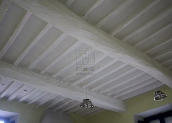 azienda agricola in vendita a lucca (35).JPG - Azienda agricola Via Tofori, Capannori - foto 27