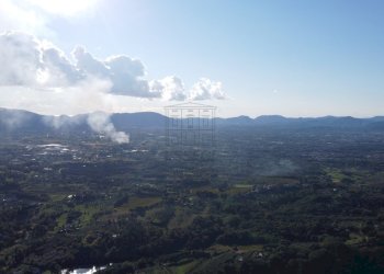 azienda agricola in vendita a Lucca (14).JPG - Azienda agricola Via Tofori, Capannori - foto 29