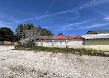 piazzale - Locale Commerciale Strada Rurale Mammagnora 3, Bari - foto 5