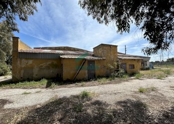 esterno - Locale Commerciale Strada Rurale Mammagnora 3, Bari - foto 7